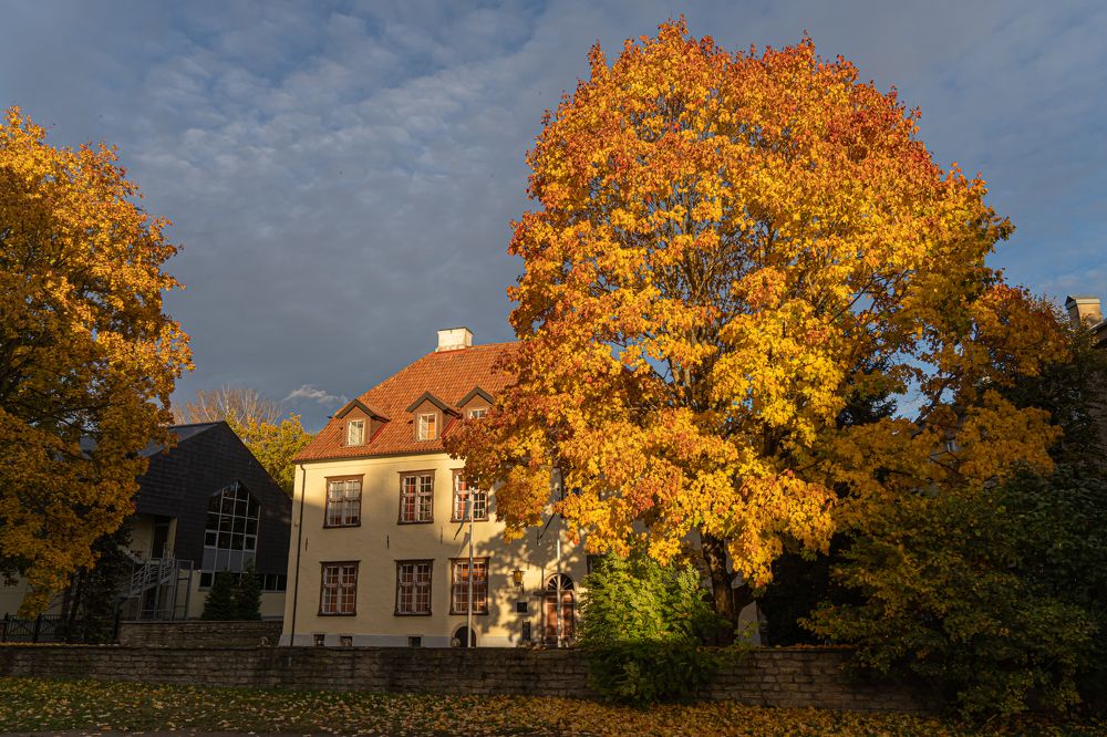 Photograph by Kirill Jakushev