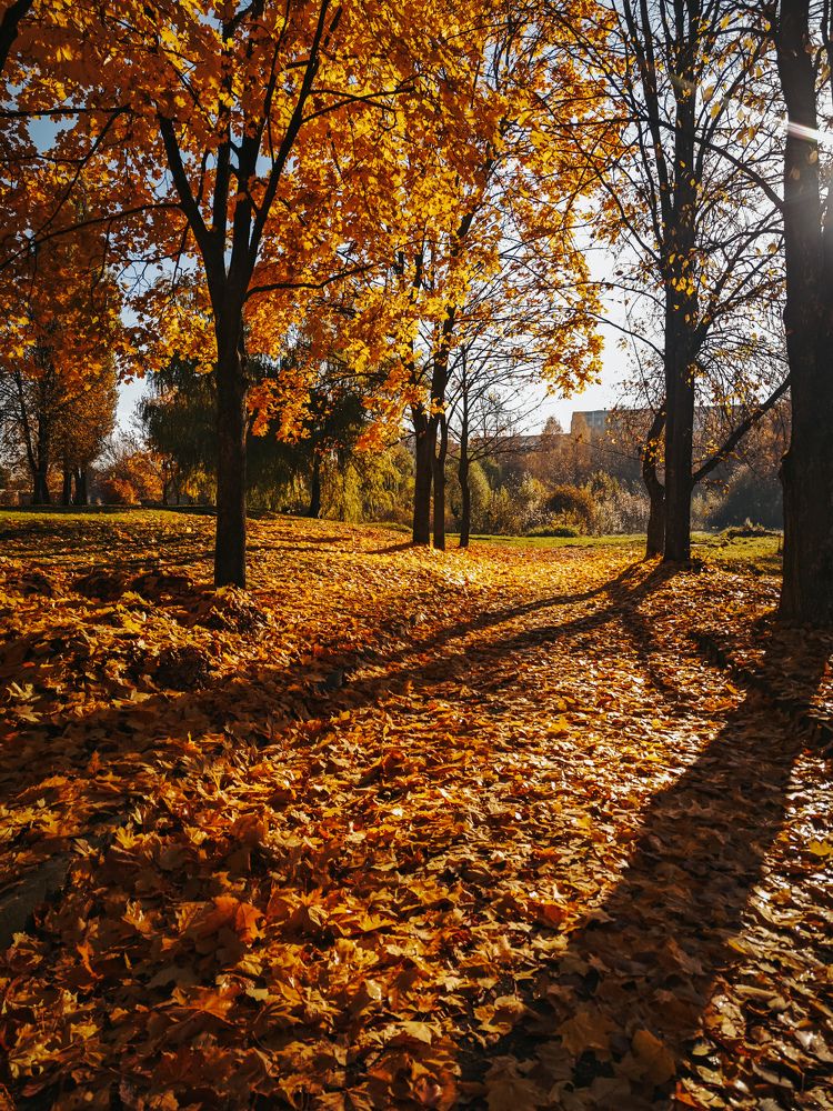 Photograph by Светлана Фоменко