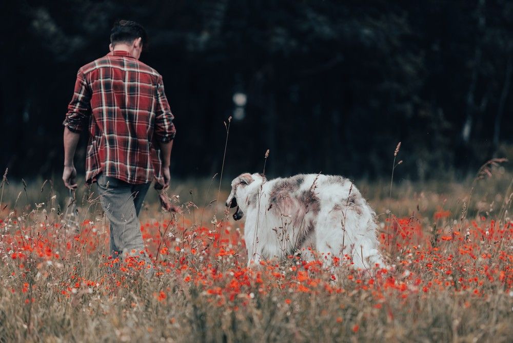 Photograph by Виолетта Бастет