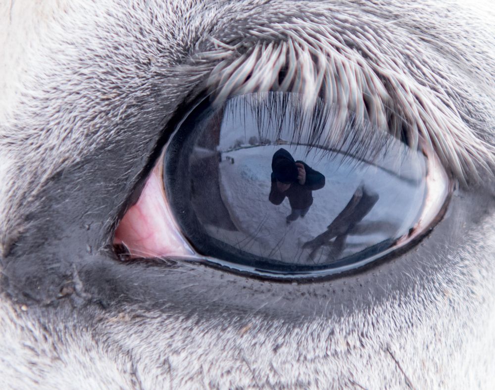 Photograph by Евгений Моляшов