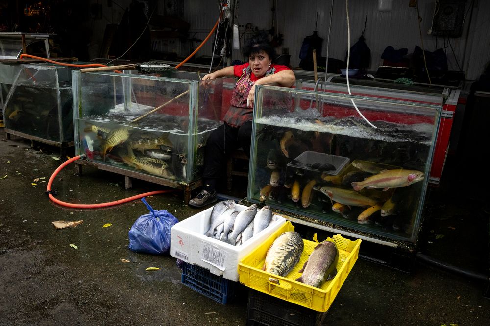 Photograph by Алексей Епишкин