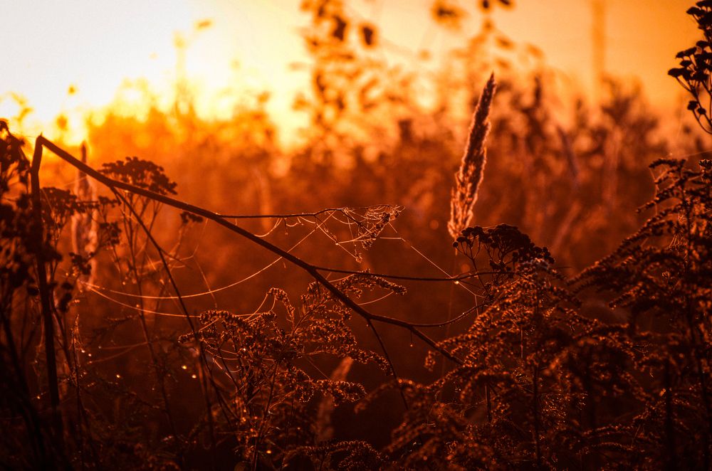 Photograph by Виолетта Бастет