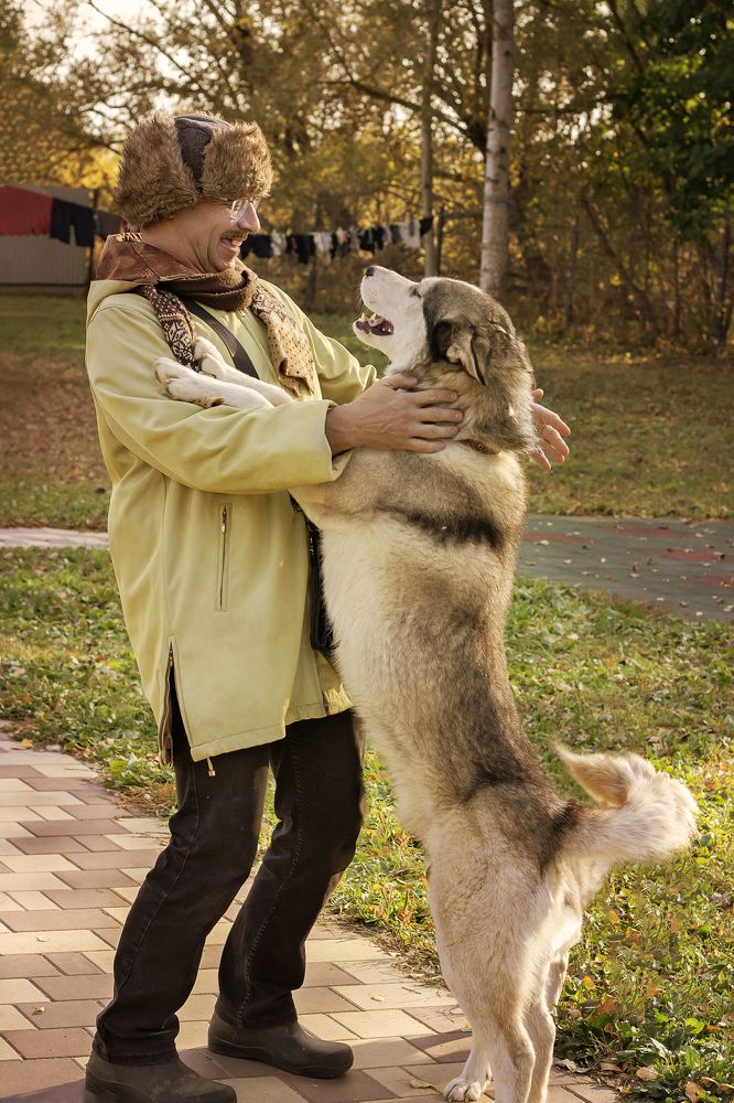 Почтальон Печкин