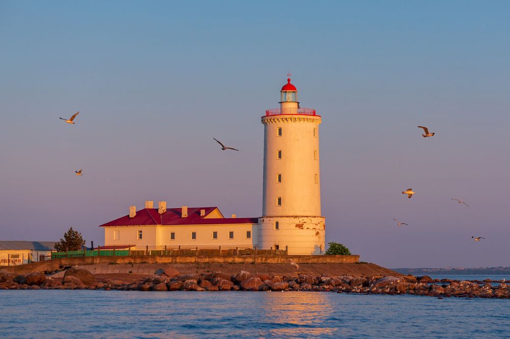 Фотография автора Мика Петров