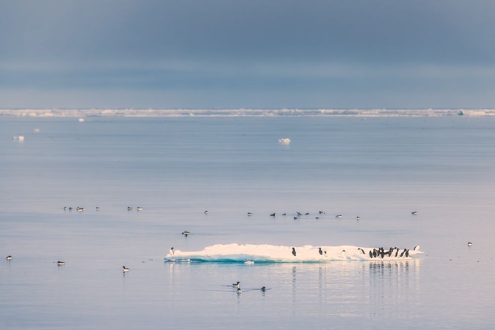 Photograph by Ермолин Александр
