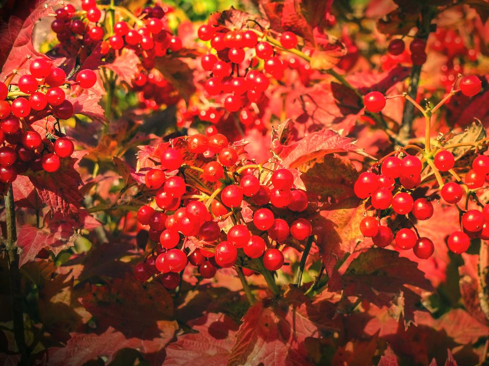 Photograph by Виктор Карпухин