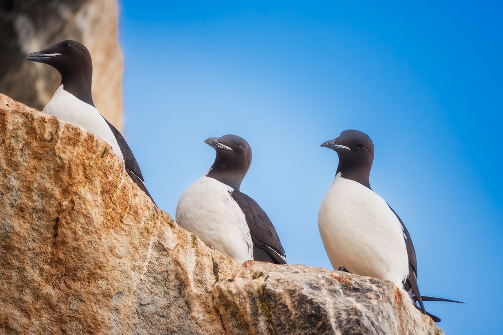 Photograph by Ермолин Александр