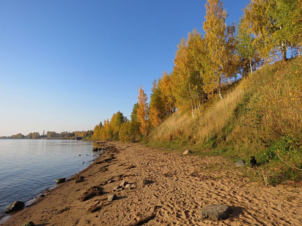 Photograph by Галина Пименова