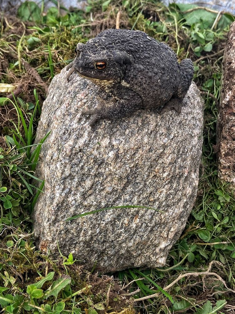 Photograph by Oksana Smorodina