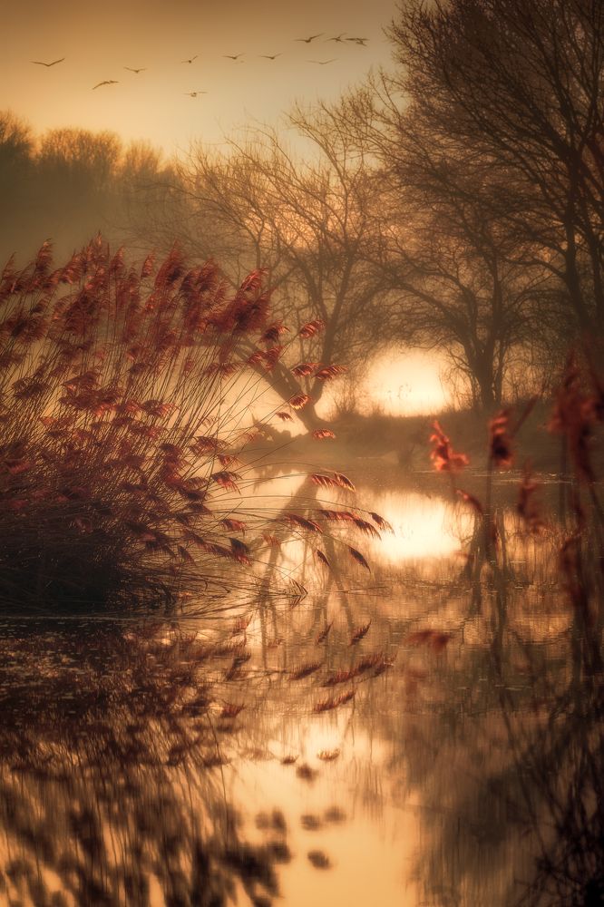 Фотография автора Peter Dužek