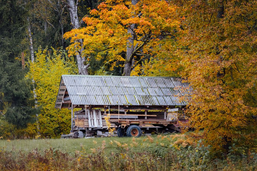 Photograph by Liga KALNINA