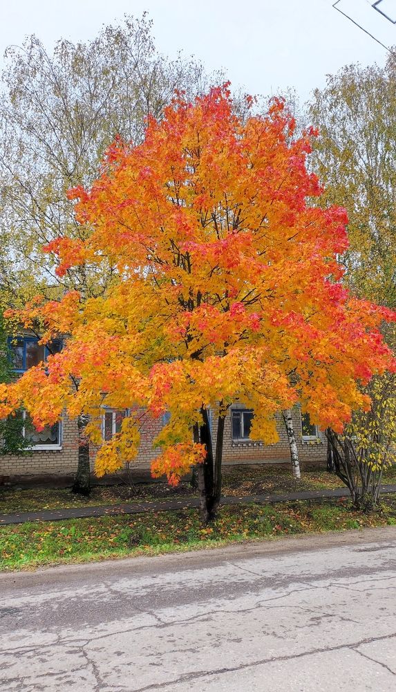 Photograph by Марина Артемьева