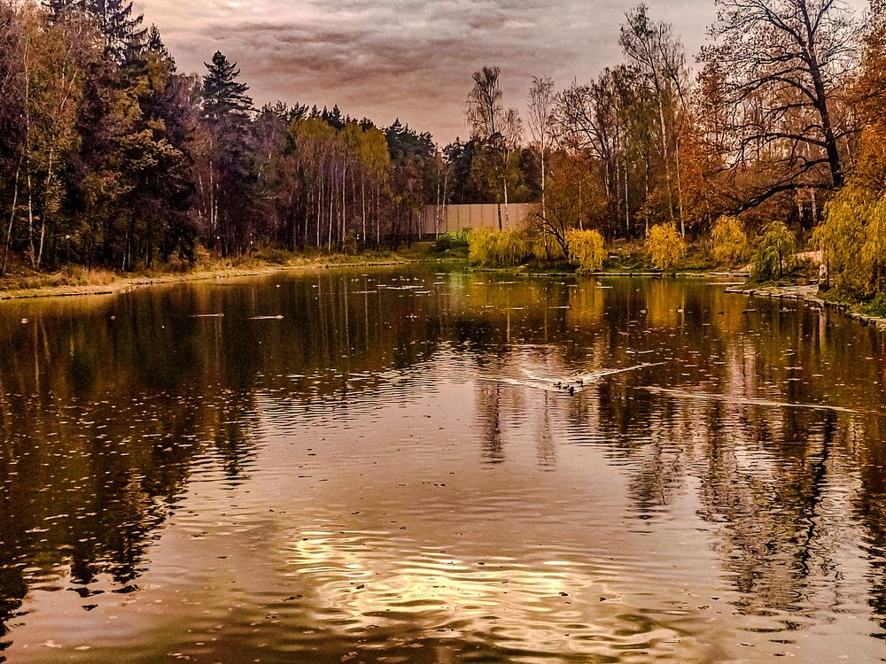 Фотография автора Нина Зинченко