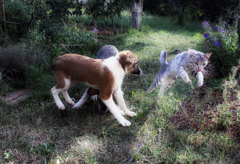 Photograph by Алексей Коношонкин