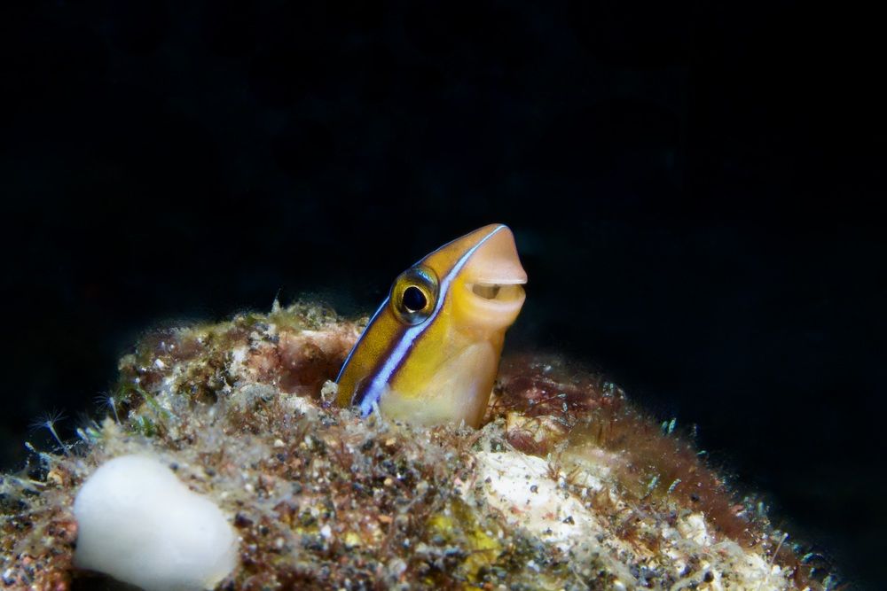 На страже)))