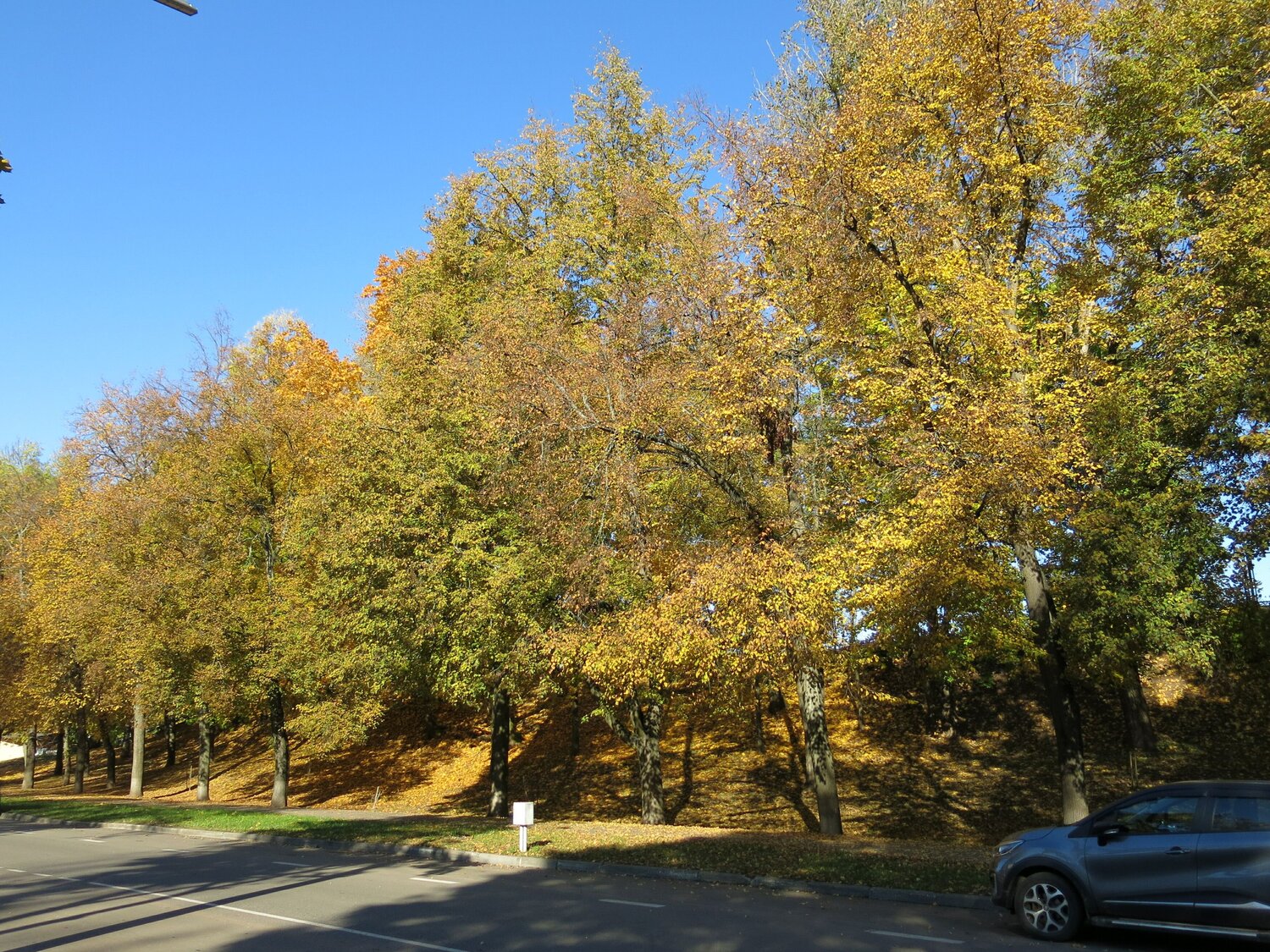 Photo #11210260
