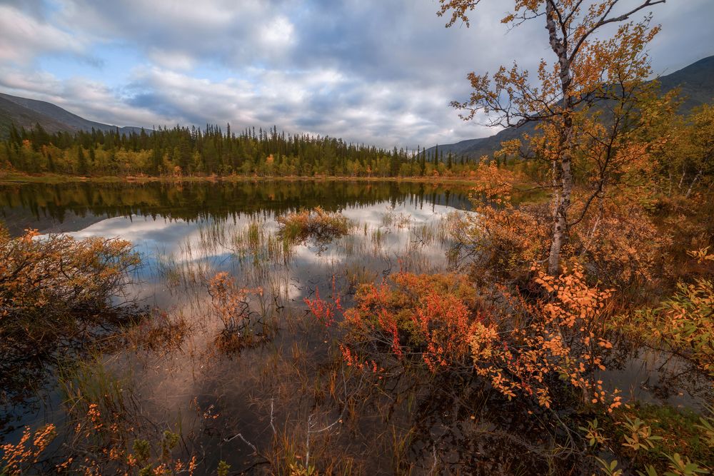 Photograph by Марина Мурашова