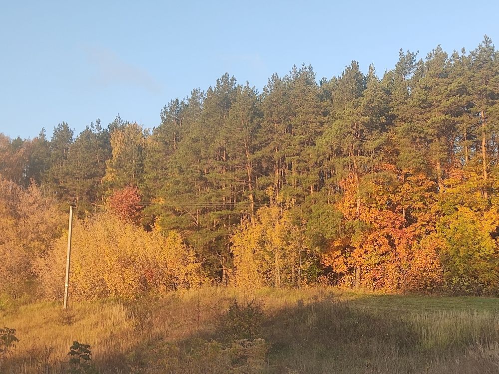 Photograph by Венера Хайруллина