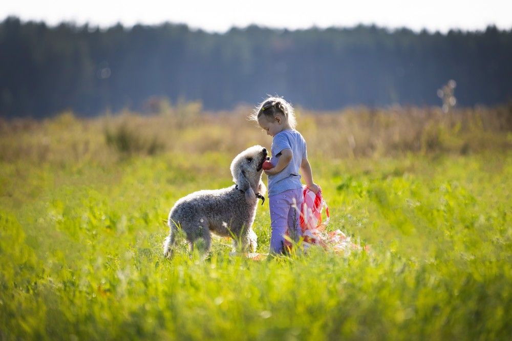 Photograph by Виолетта Бастет