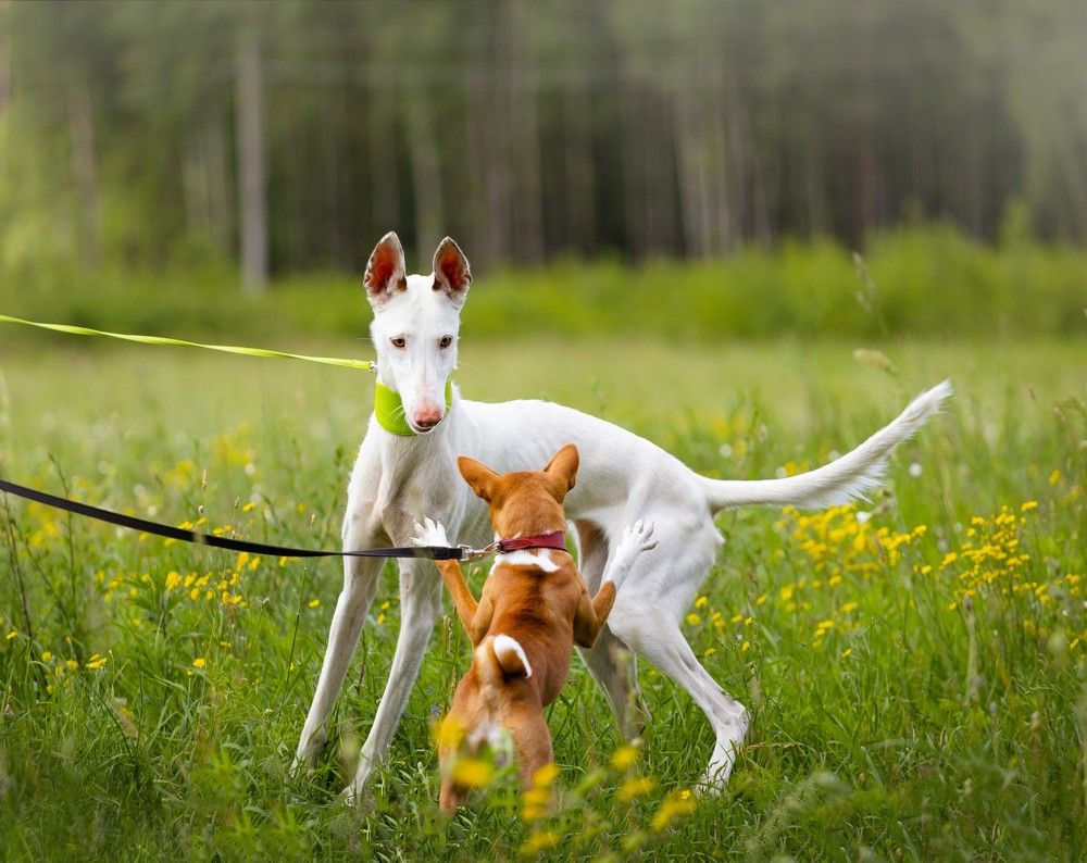 Photograph by Виолетта Бастет