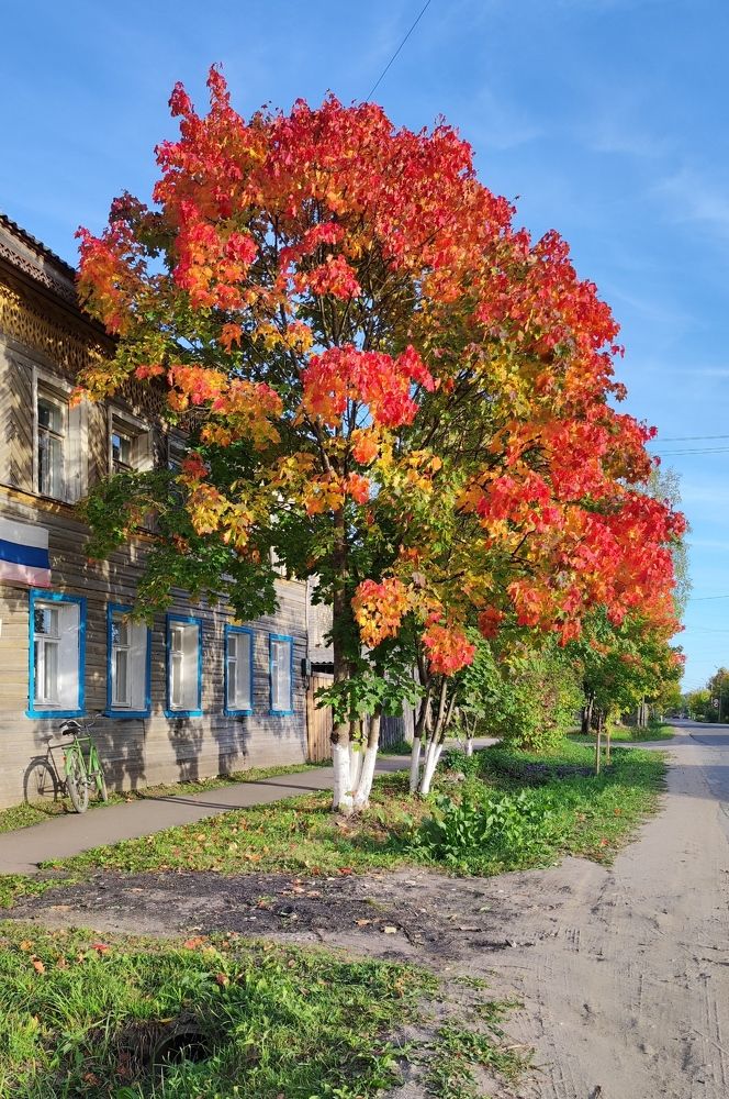 Photograph by Марина Артемьева