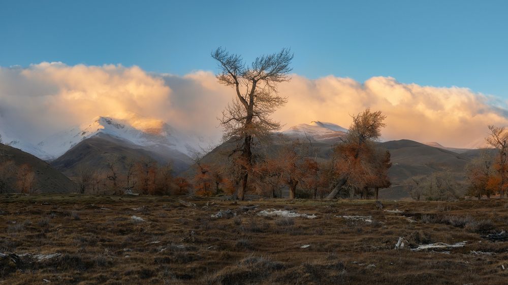 Photograph by Мозжухин Максим