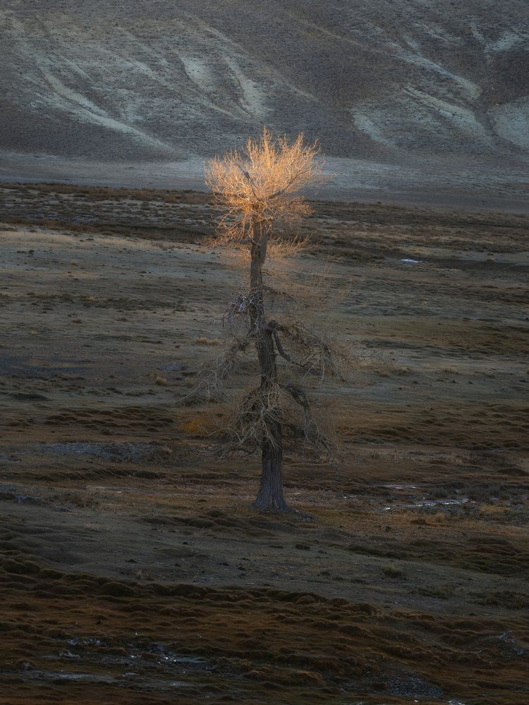 Photograph by Мозжухин Максим