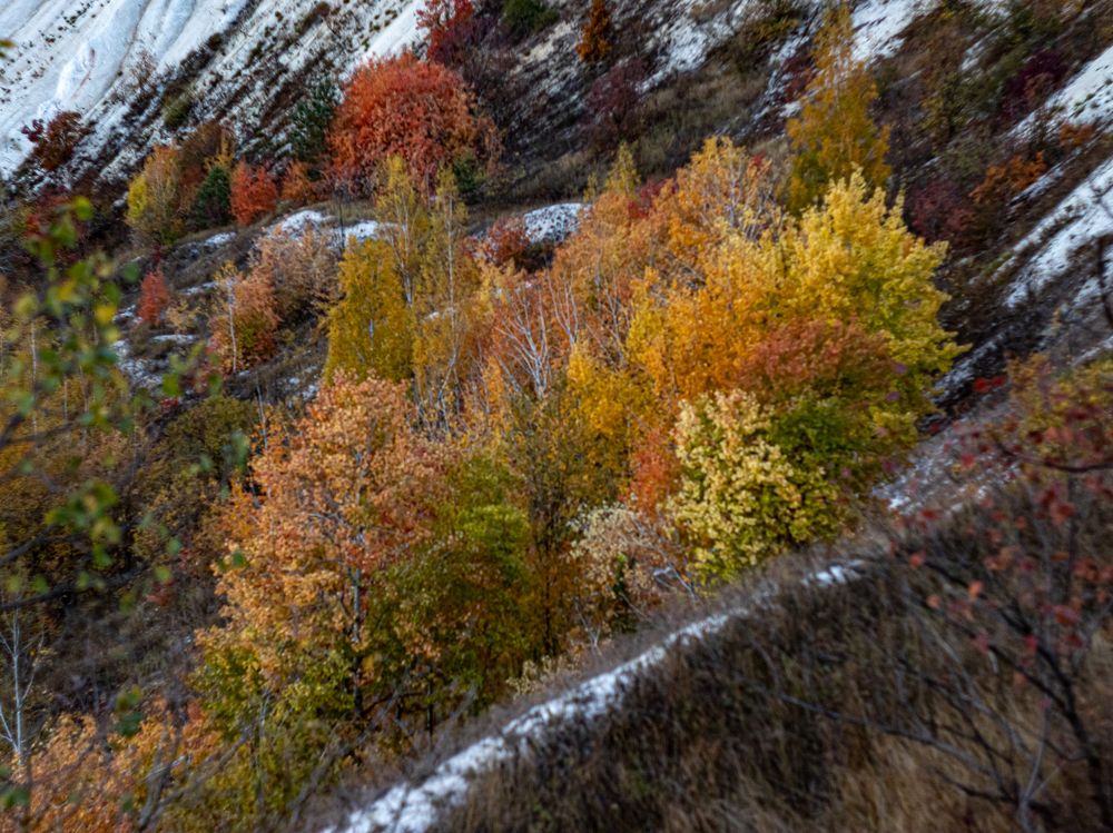 Photograph by Дмитрий Давидов