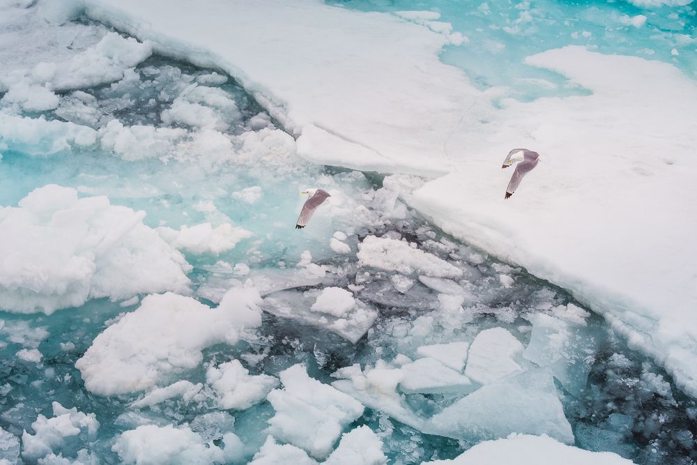 Photograph by Ермолин Александр