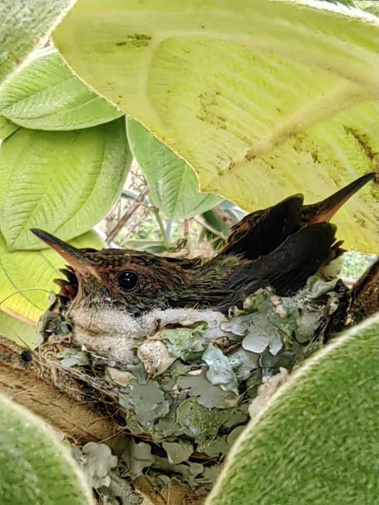 Photograph by Virginia Azocar