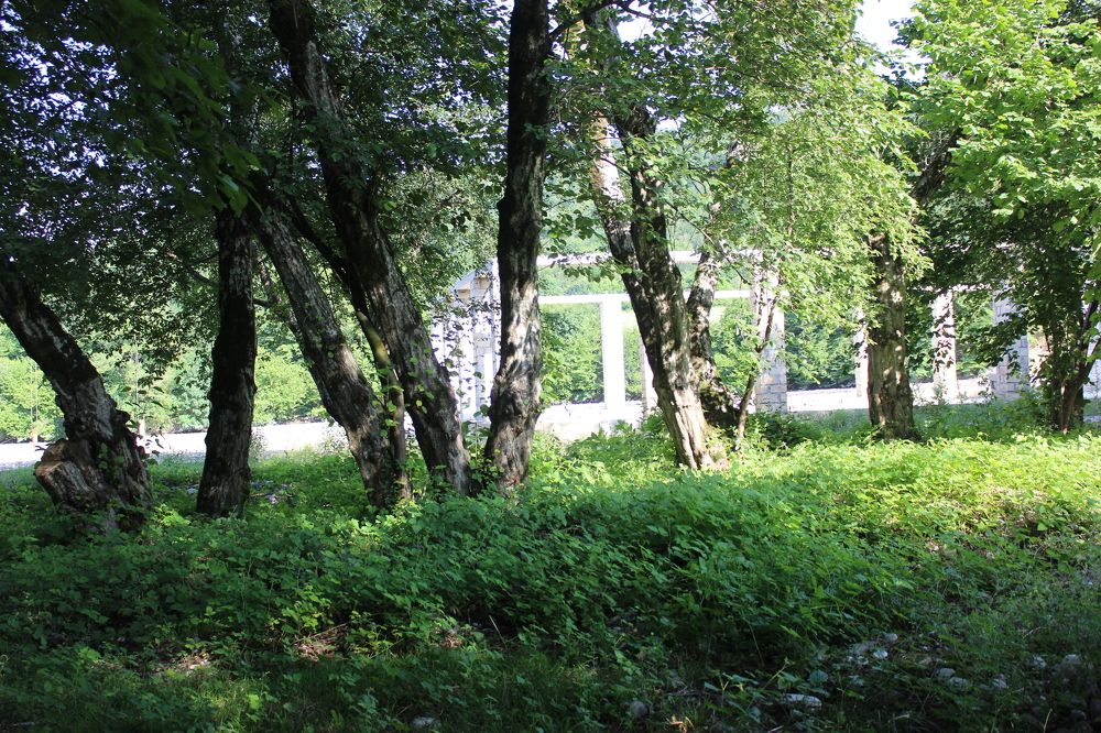 Photograph by Gulustan Aliyeva