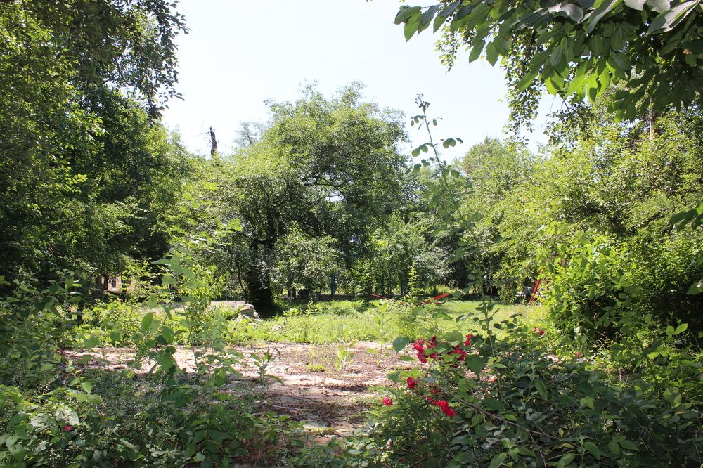 Photograph by Gulustan Aliyeva