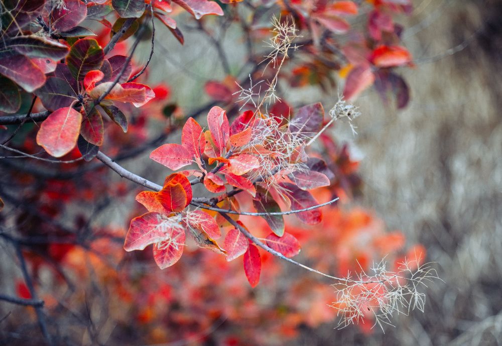 Photograph by Юлия Ковальчук