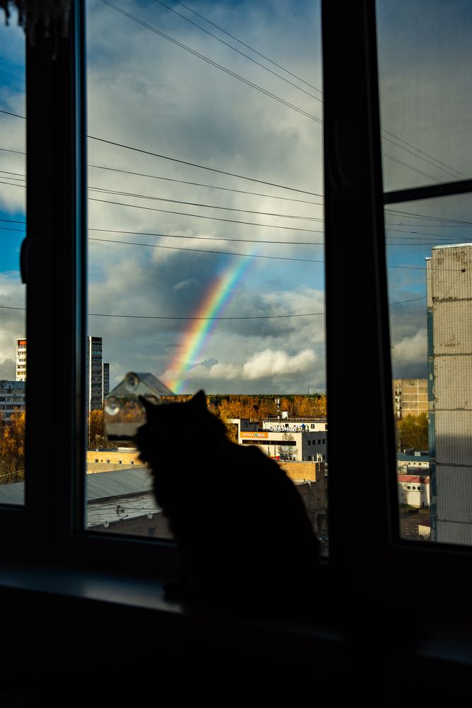 Photograph by Елена Владимировна