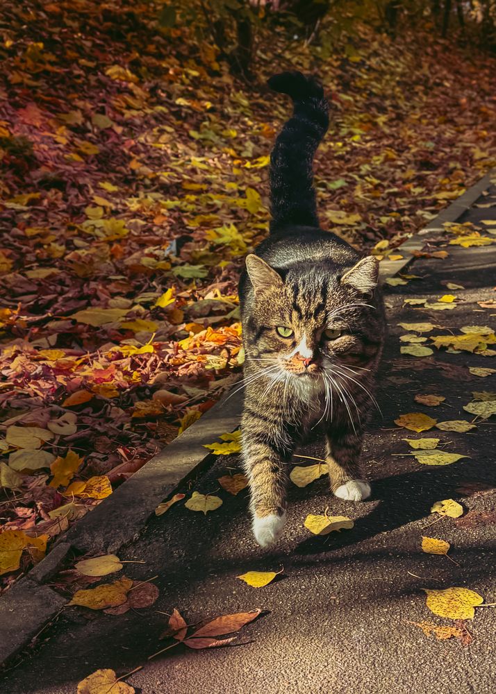 Photograph by Oxana Petlina