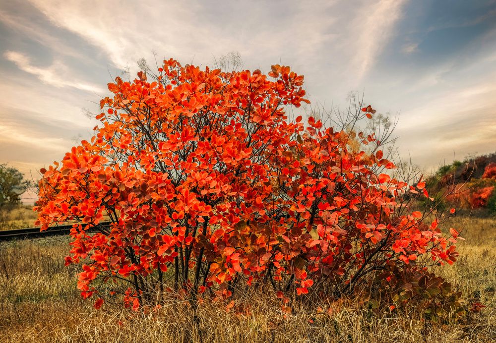 Photograph by Юлия Ковальчук
