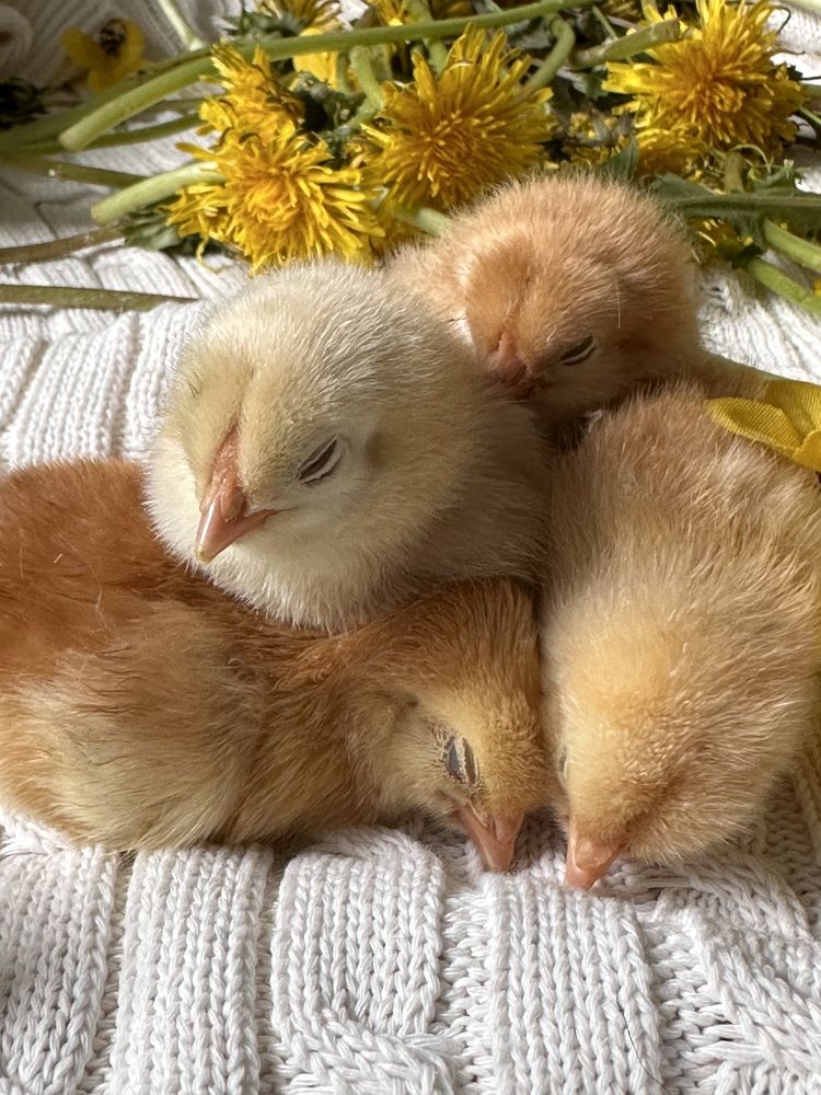 Photograph by Марина