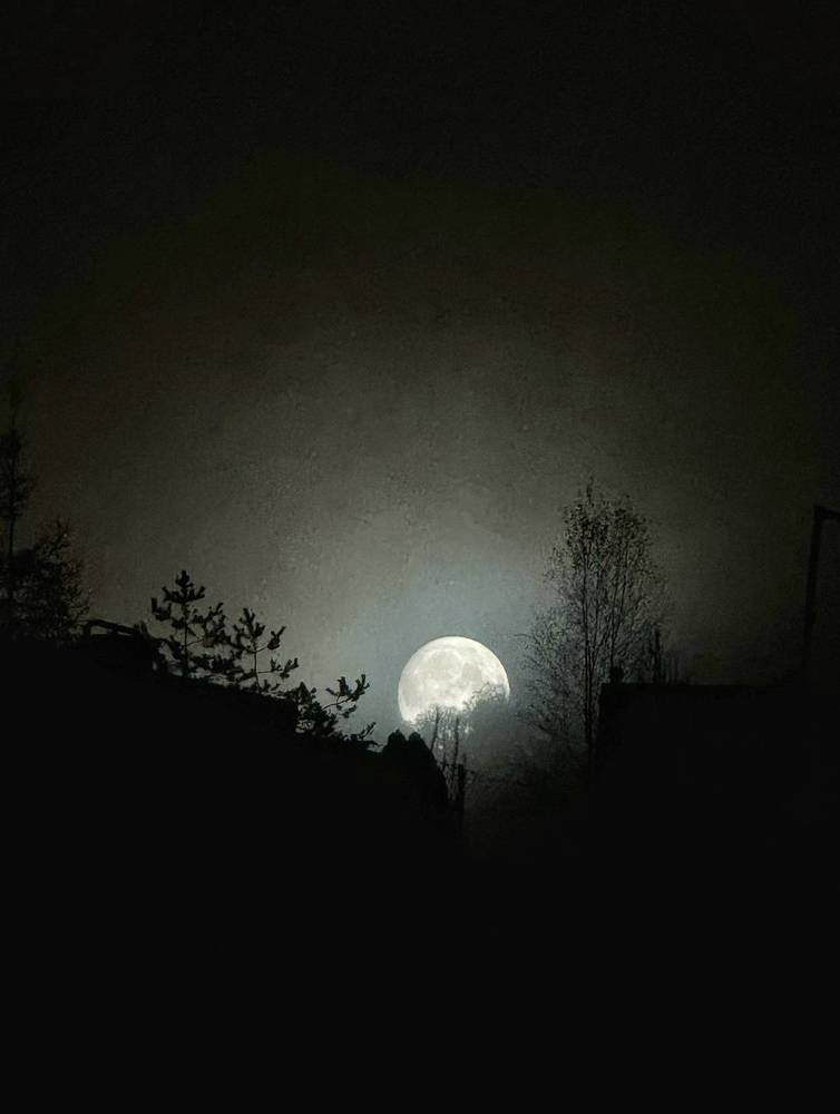 Photograph by Ольга Кудина