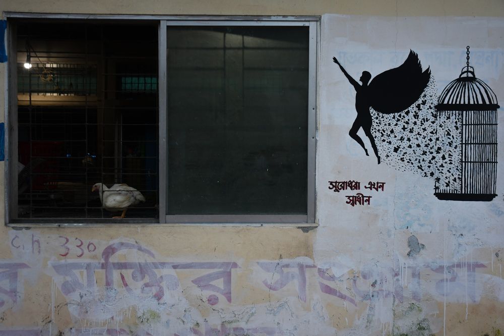 Photograph by Md. Mahfuzur Rahman Siam