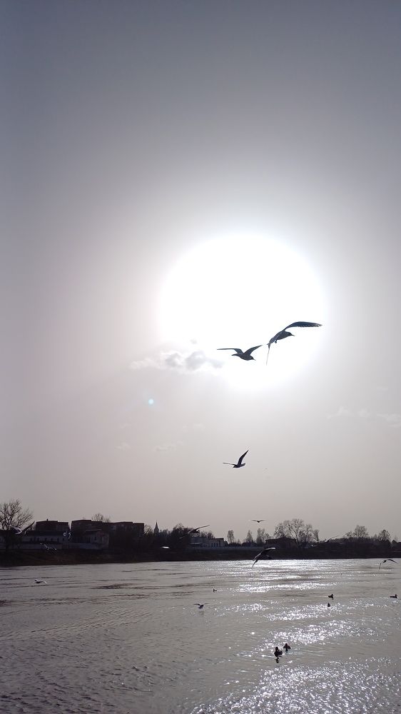 Photograph by Елена Воронова