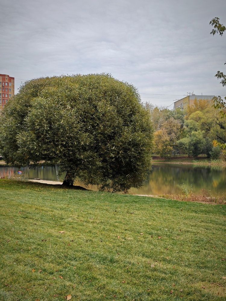 Photograph by Ирина Савина