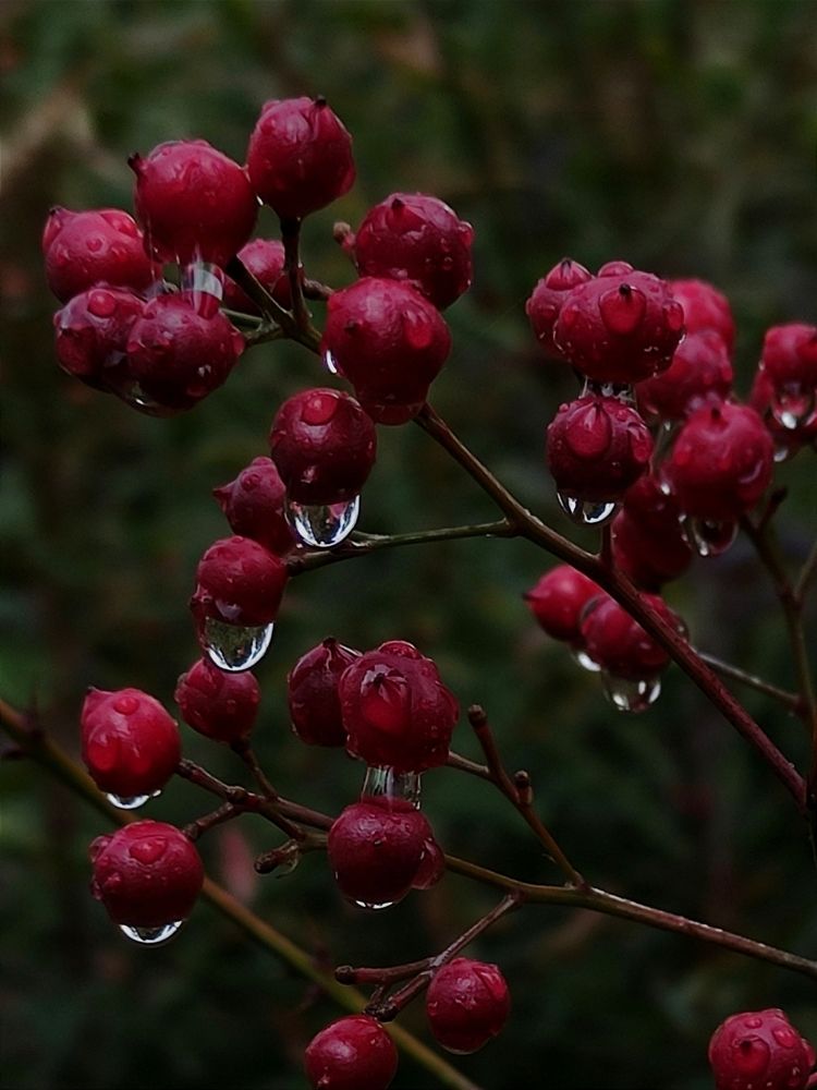 Photograph by Светлана Холодова