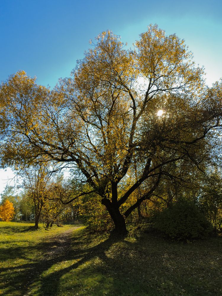 Photograph by Виктория Качан