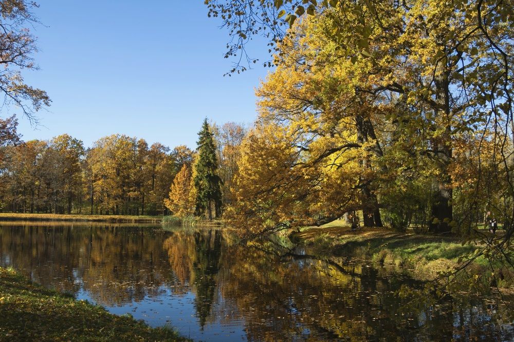 Photograph by Валентина Кузнецова