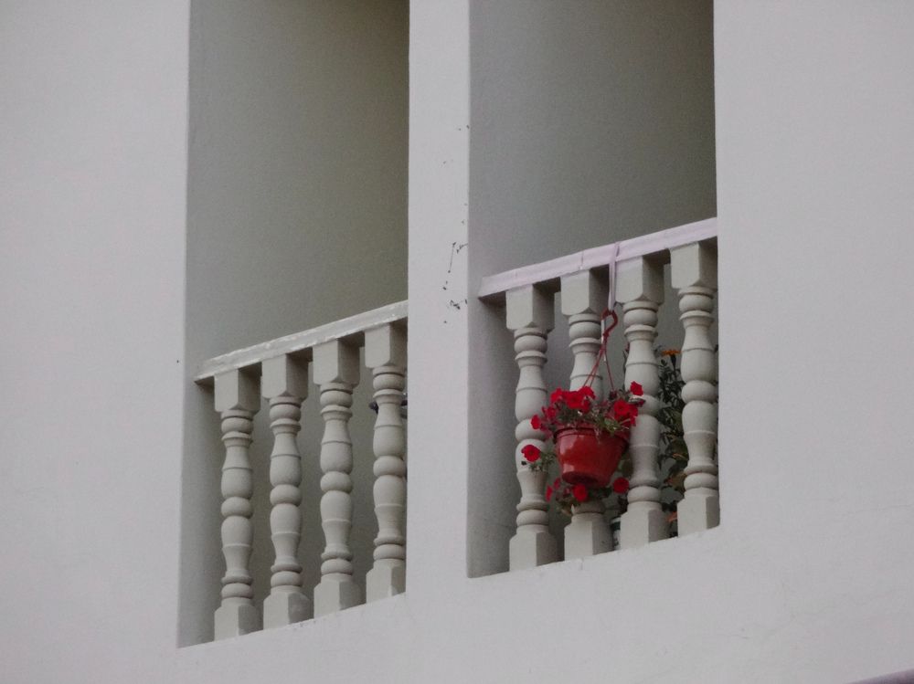 Фотография автора Ibraheem Alsaid