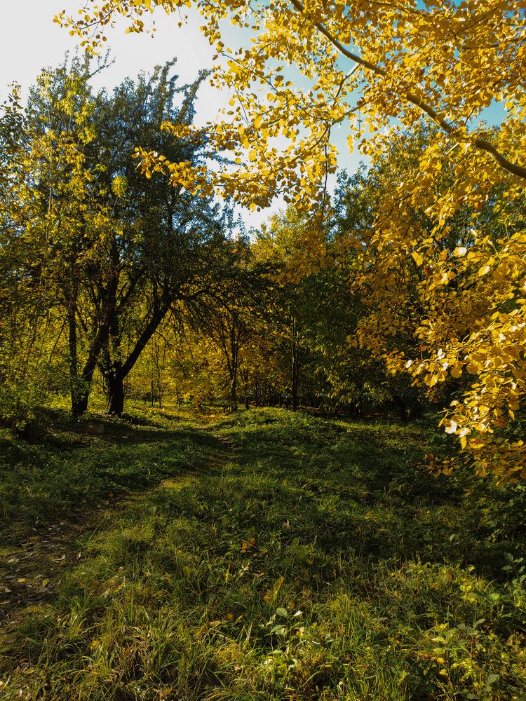 Photograph by Виктория Качан
