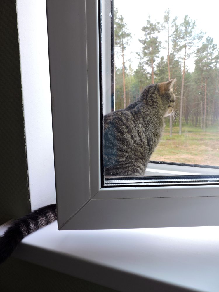 Photograph by Tatiana