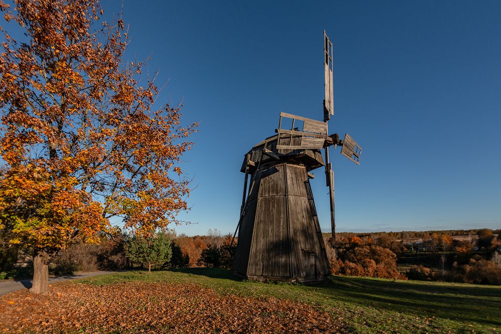 Навстречу ветру
