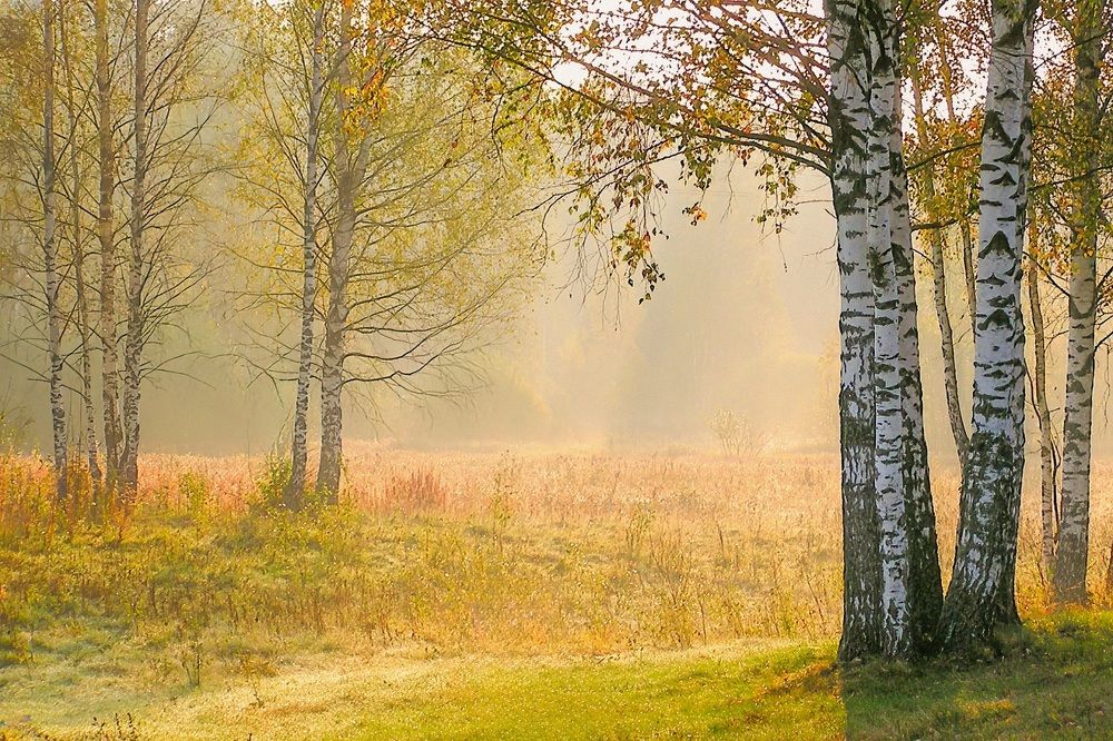 Photograph by Юрий Спасенников