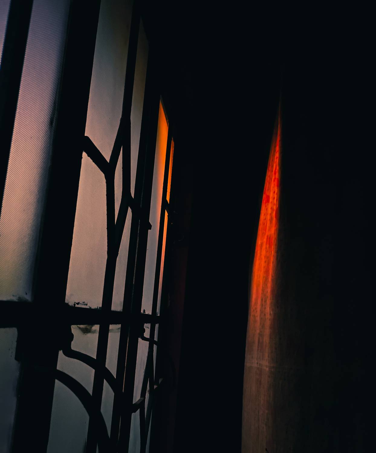 Photo #11210480